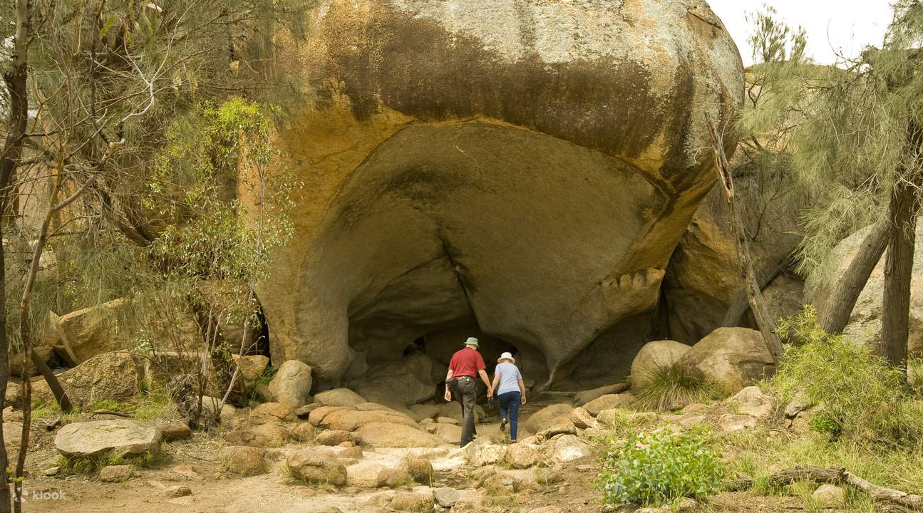 Wave Rock, York, Wildflowers & Aboriginal Culture Day Trip from Perth ...
