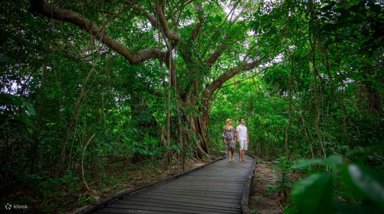 Green Island Full Day Discovery Cruise from Cairns Klook