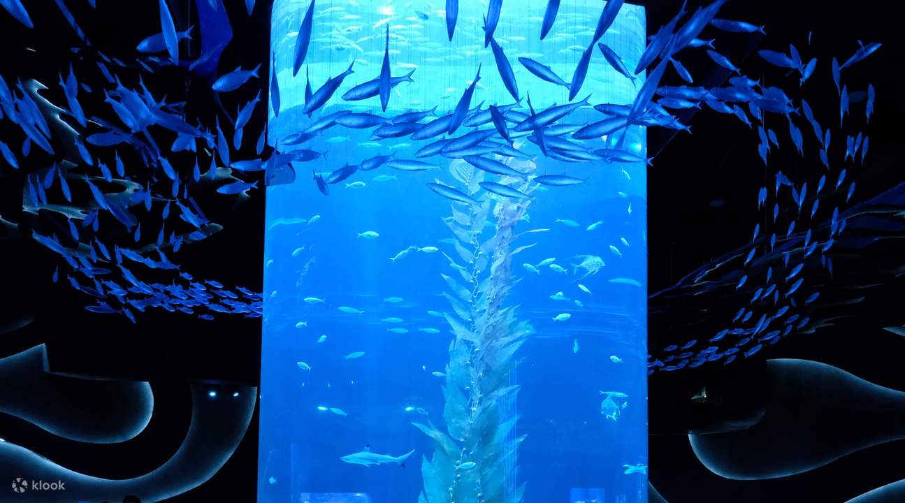 Jakarta Aquarium Ticket Neo Soho Experience the Sea Explorer 5D