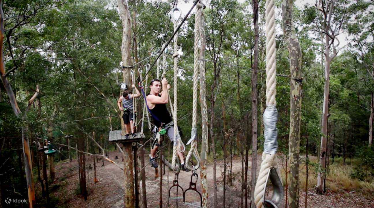 rope activities treetop challenge 