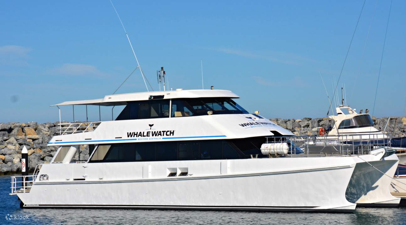 브레머 베이 고래 관찰 퍼스