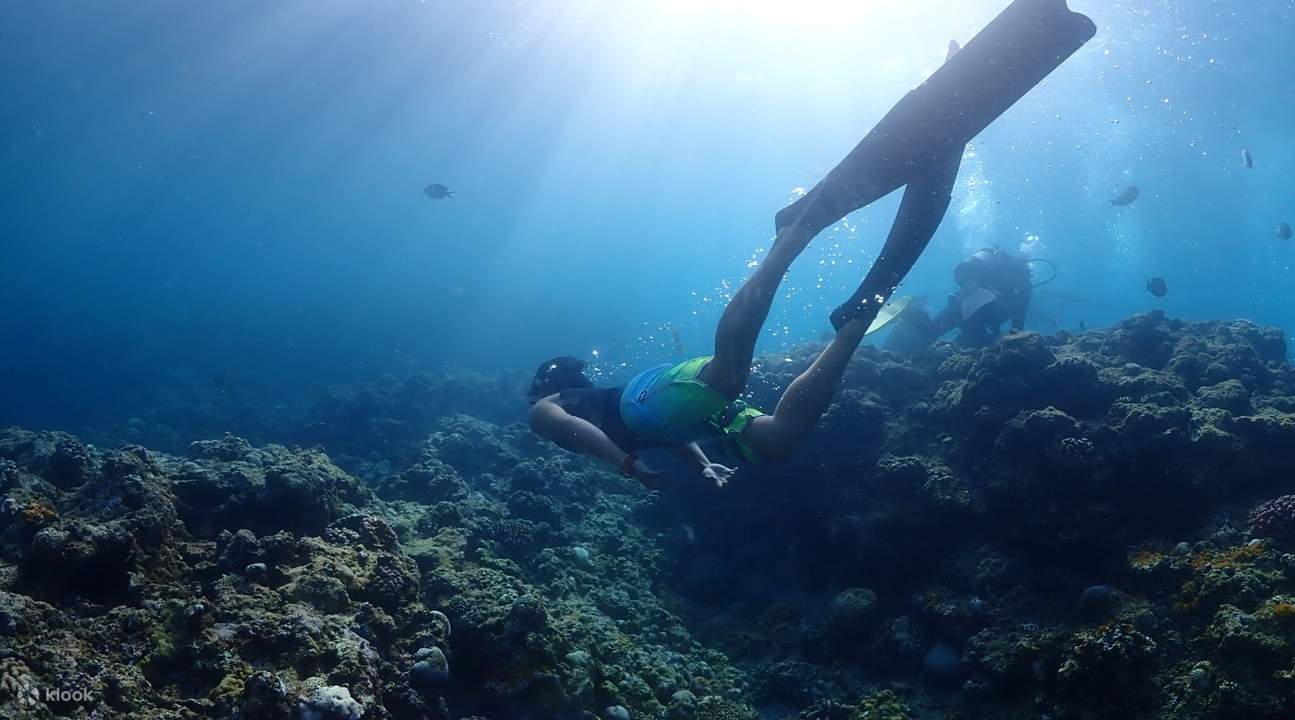 orang menyelam di sebelah terumbu karang di gua biru okinawa