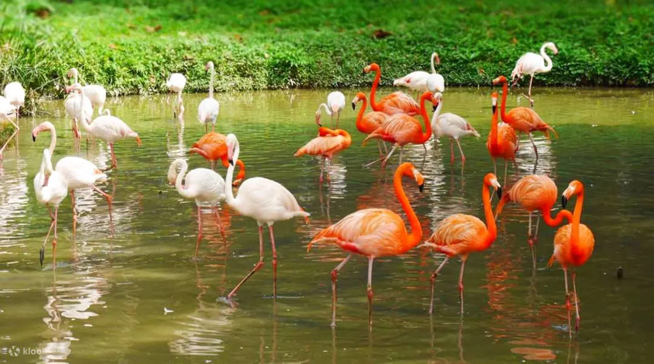 Malaysia National Park