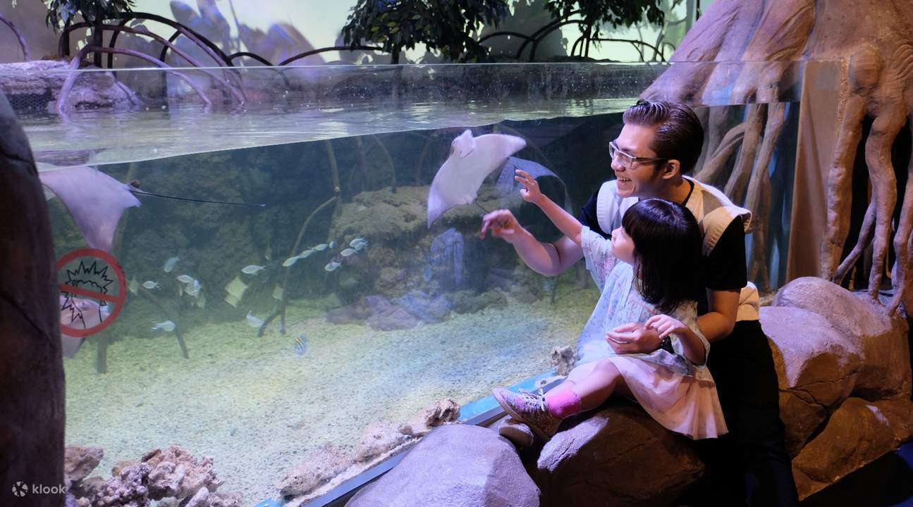 Jakarta Aquarium Ticket Neo Soho - Experience the Sea Explorer 5D ...