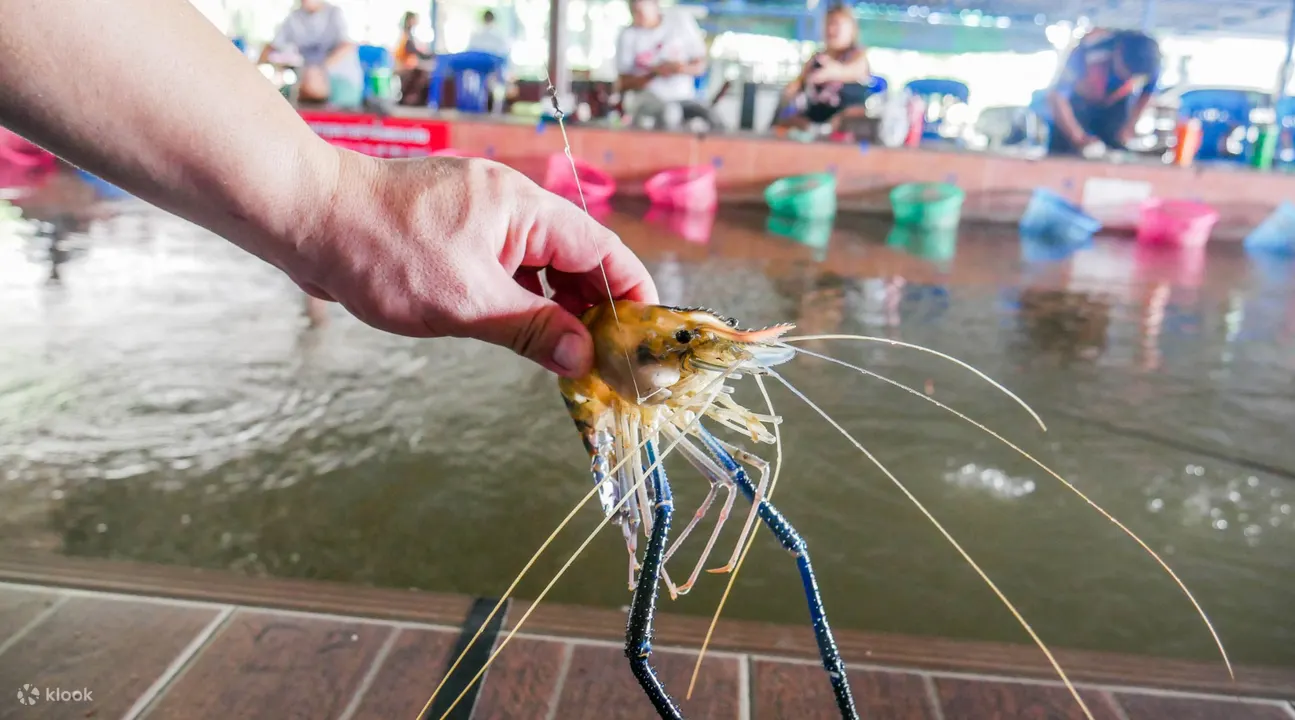 Charoen Nakhon 16 钓虾场,吞武里钓虾场,钓虾场午餐,钓虾场晚餐