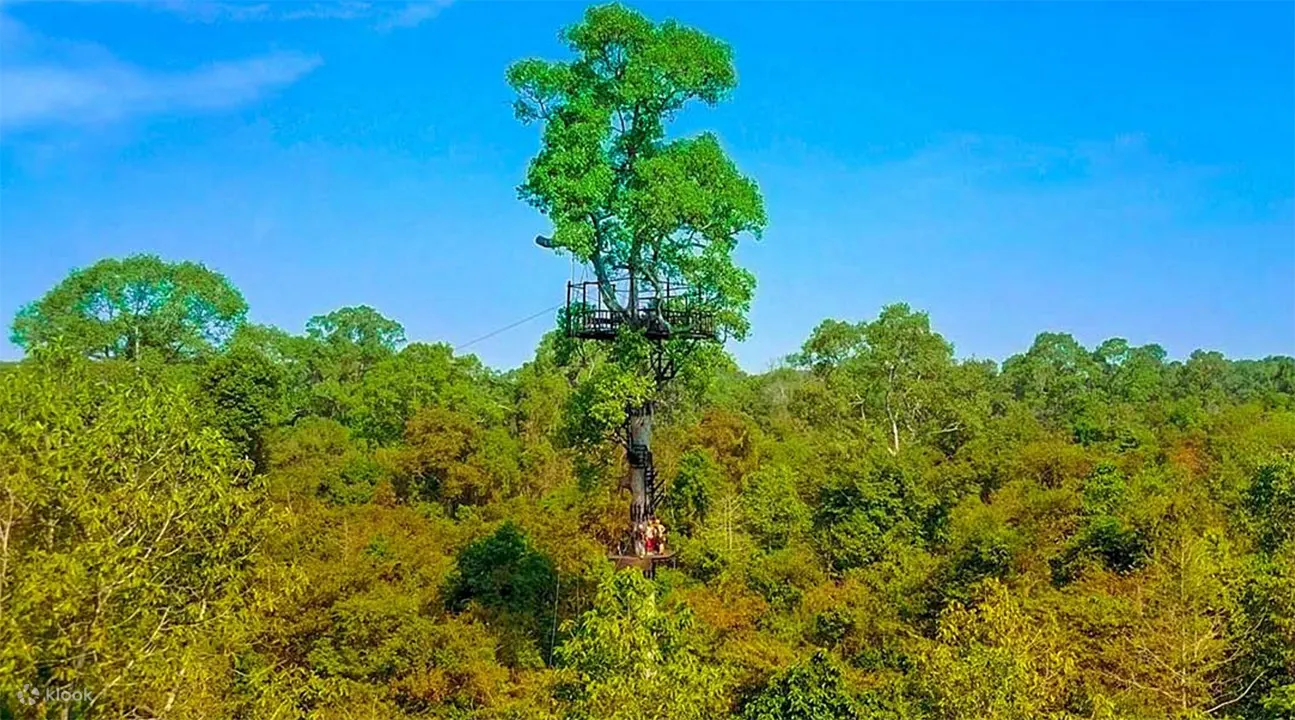 吴哥复杂的高空滑索冒险