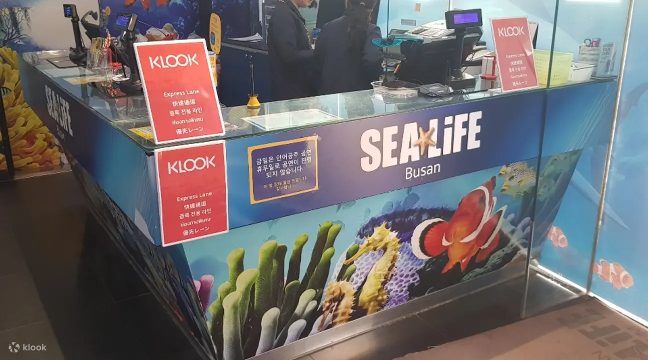 海洋生物klook快速柜台