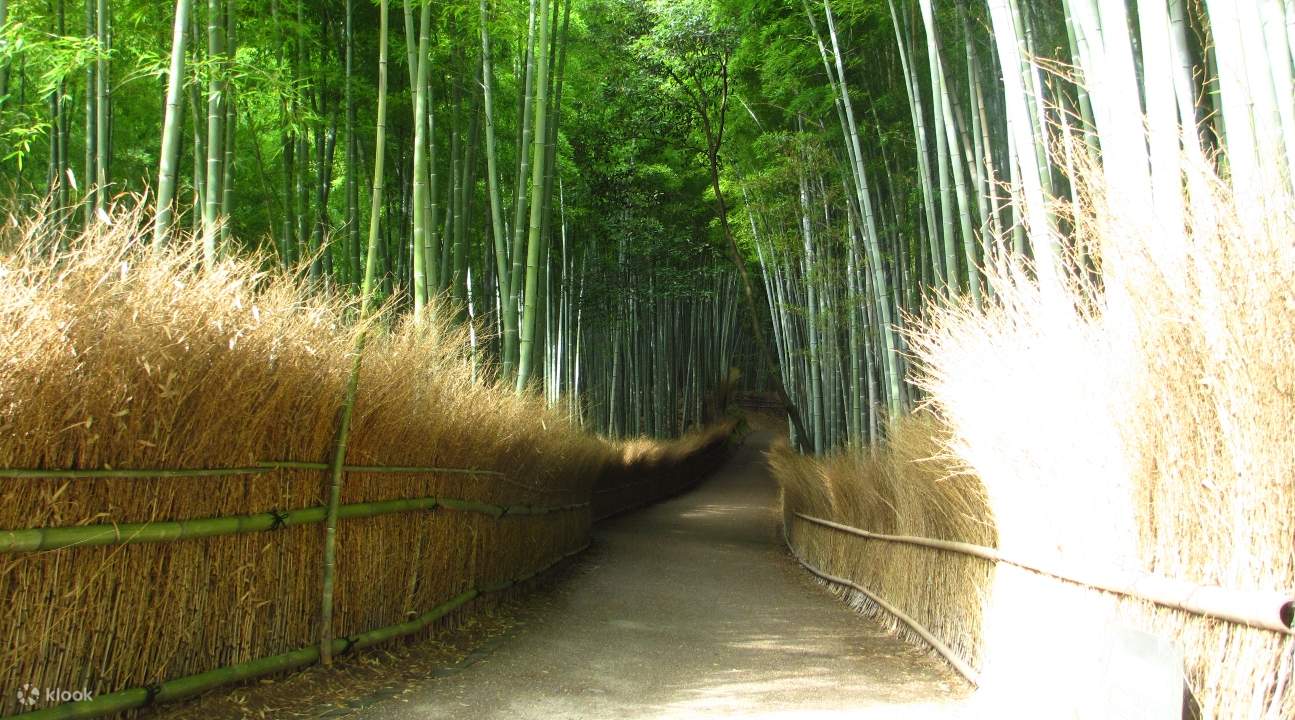 Arashiyama, Kinkakuji Temple, and Fushimi Inari Shrine Whole Day Tour