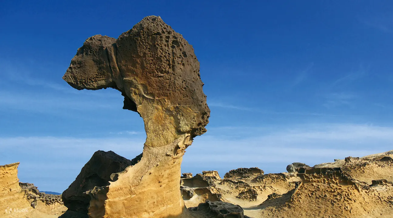 Yehliu Geopark queen's head close-up