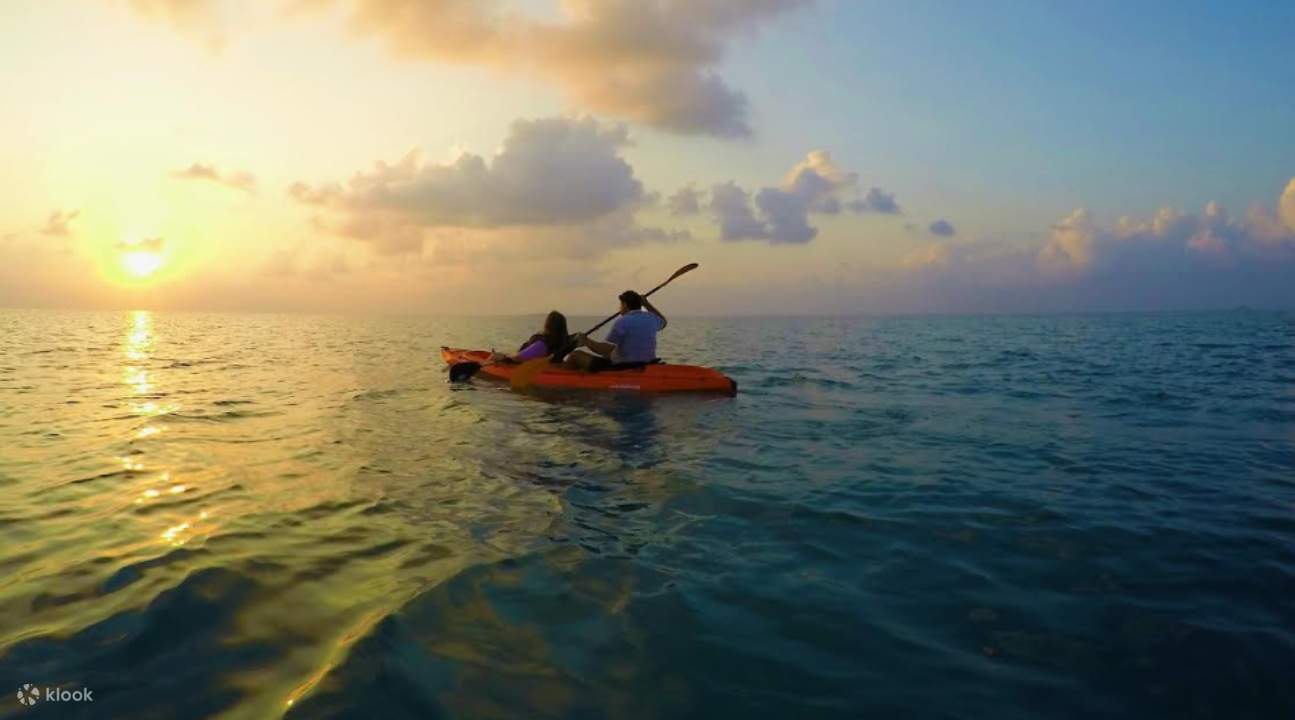 des gens font du kayak autour de la mer tout en profitant d'une vue sur le coucher du soleil