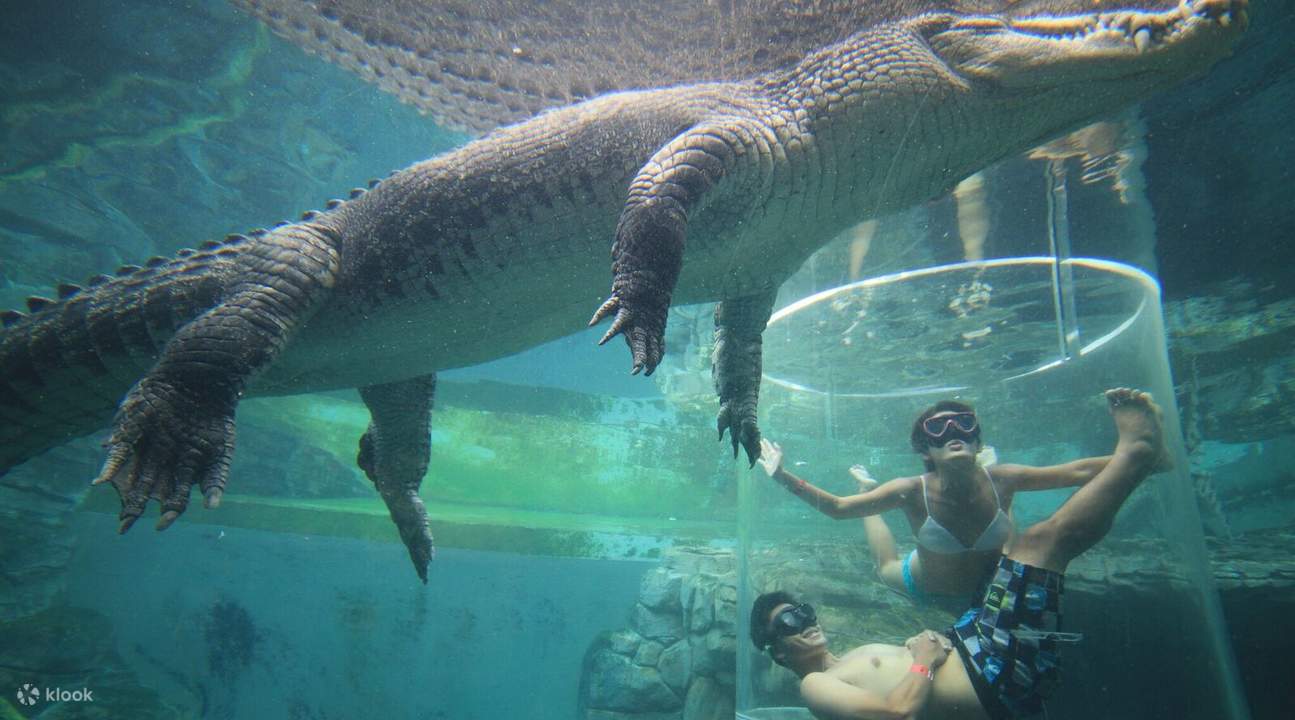 กรงมรณะ ดาร์วิน