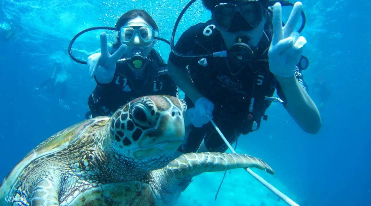 Scuba Diving Lessons and Jet Ski Tour by JNS Dives in Guam Klook