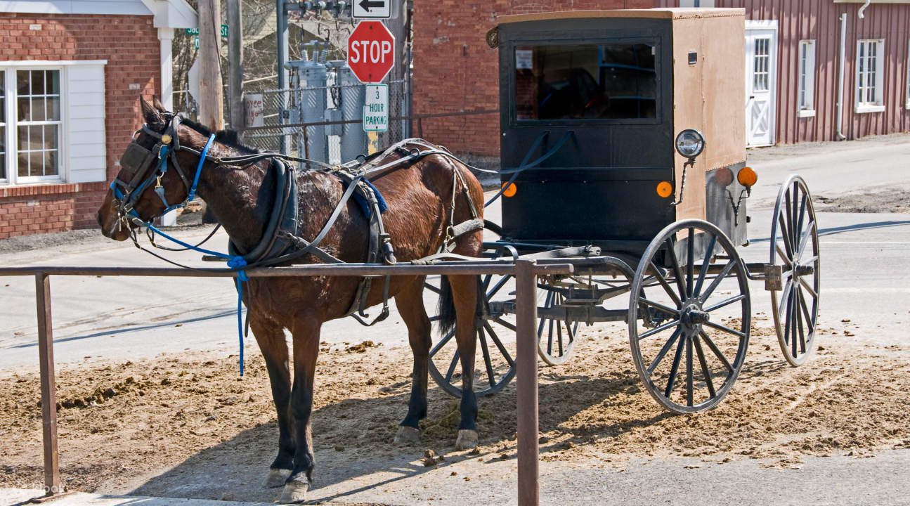 2D1N Washington DC, Philadelphia, and Amish Country Tour from New York