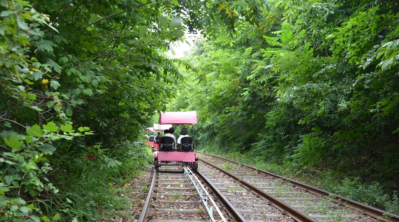 people riding the rail bike, photo taken from the back