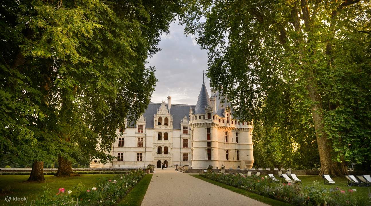 un tunnel di alberi che conduce al castello d'Azay-le-Rideau