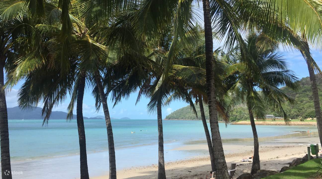 Hamilton Island Adrenaline Full Day Cruise from Airlie Beach Klook