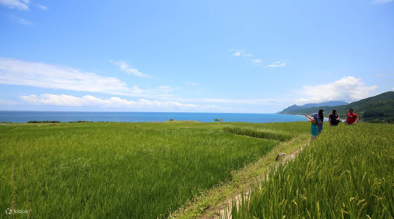 花莲东海岸之旅 新社海稻梯田 花莲火车站出发 Klook客路 花莲东海岸之旅 新社海稻梯田 花莲火车站出发 Klook客路