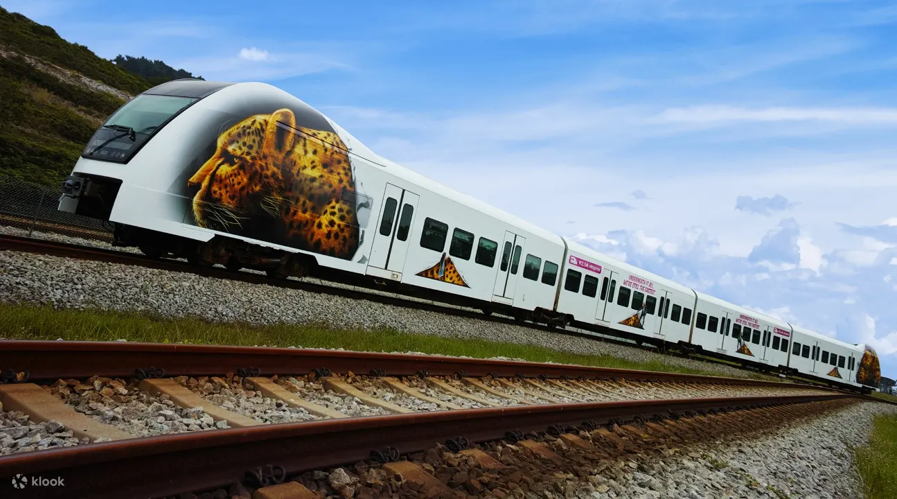 có thể đến tham quan các điểm tham quan khác nhau
