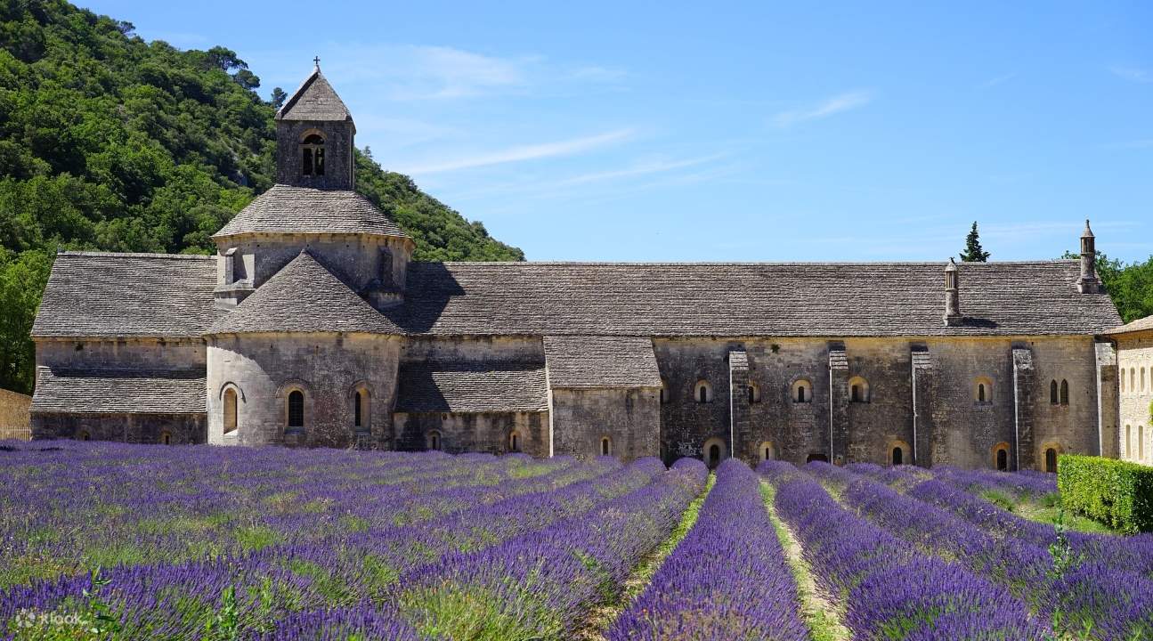 Senanque Abbey during the lavender bloom season