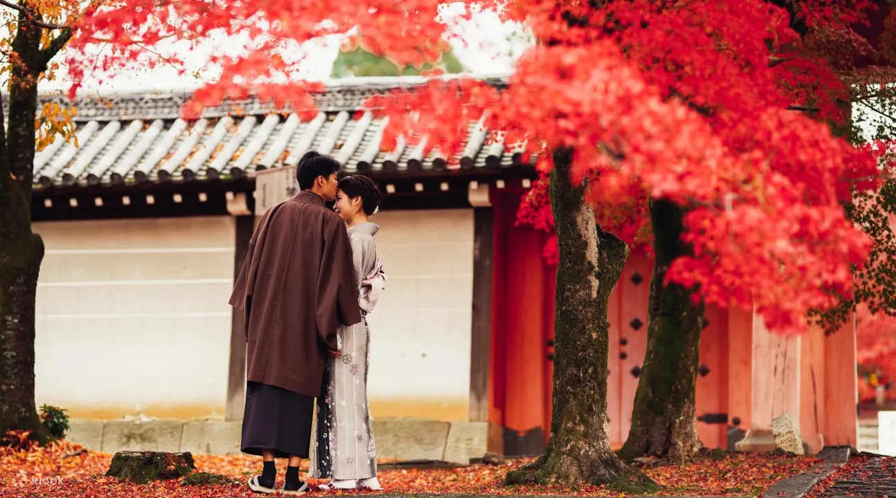 cặp đôi mặc kimono dưới tán cây phong
