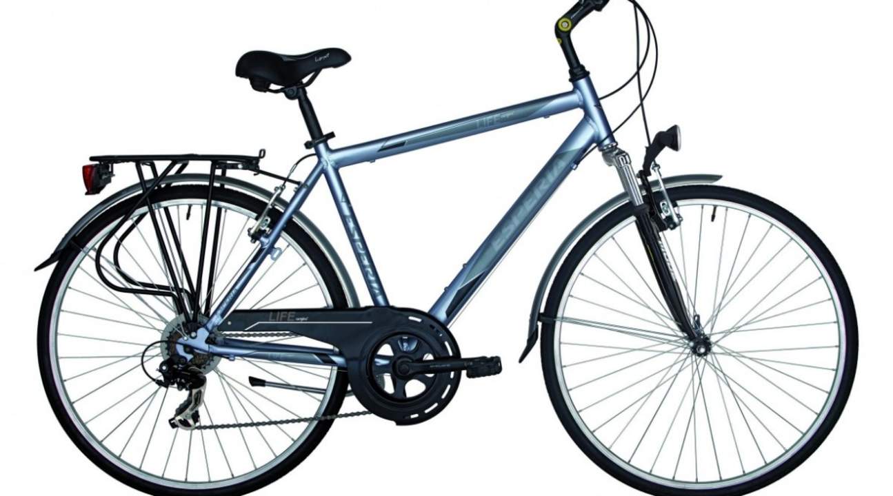 speed city bike rental siem reap