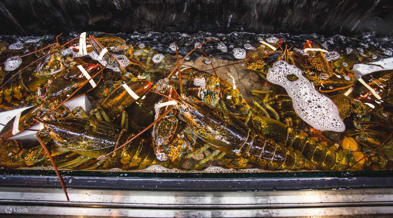 Crab and Claw海鲜,暹罗百丽宫生蚝,泰式海鲜