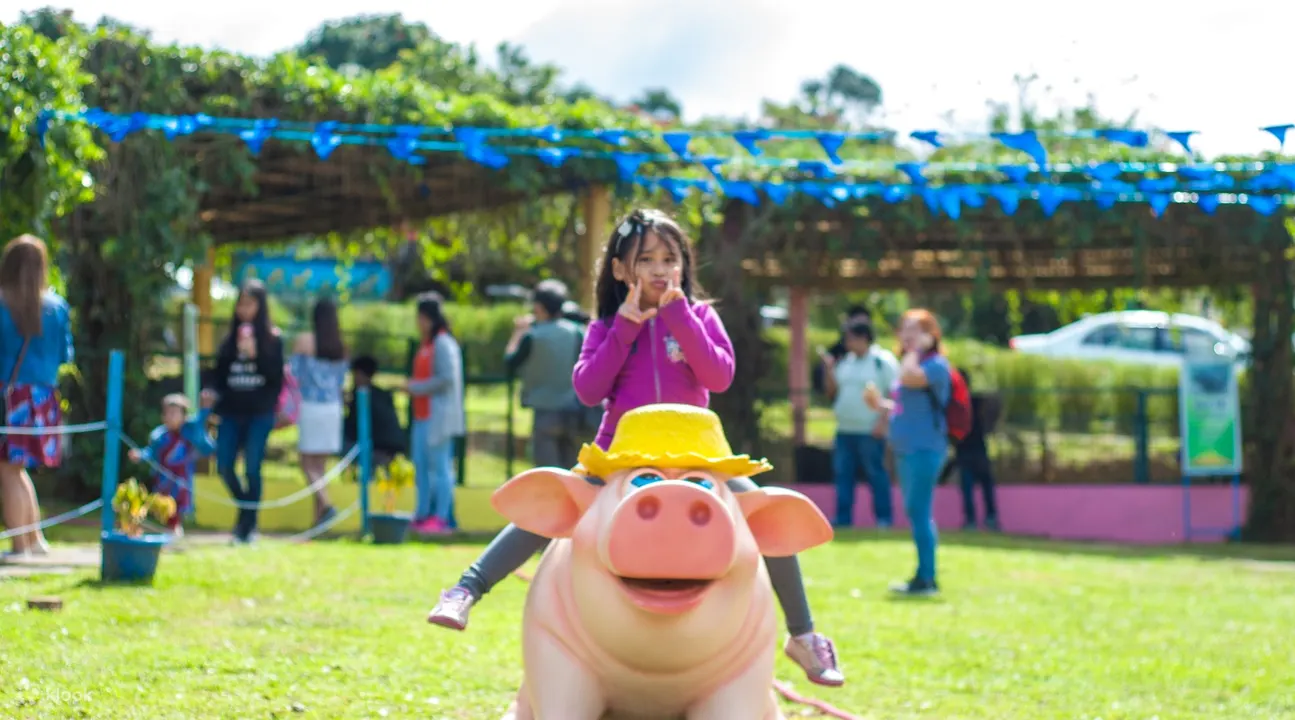 Paradizoo Tagaytay 马尼拉 菲律宾
