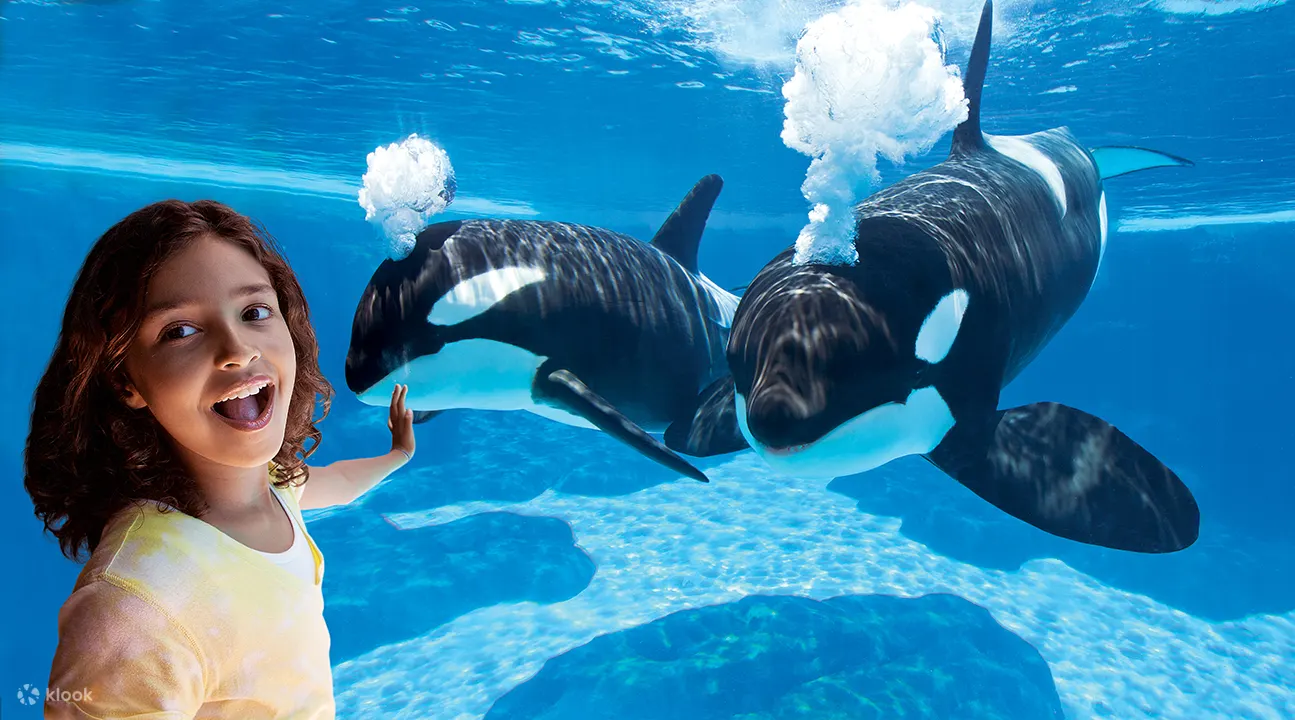 SeaWorld San Diego Tickets - Klook United States