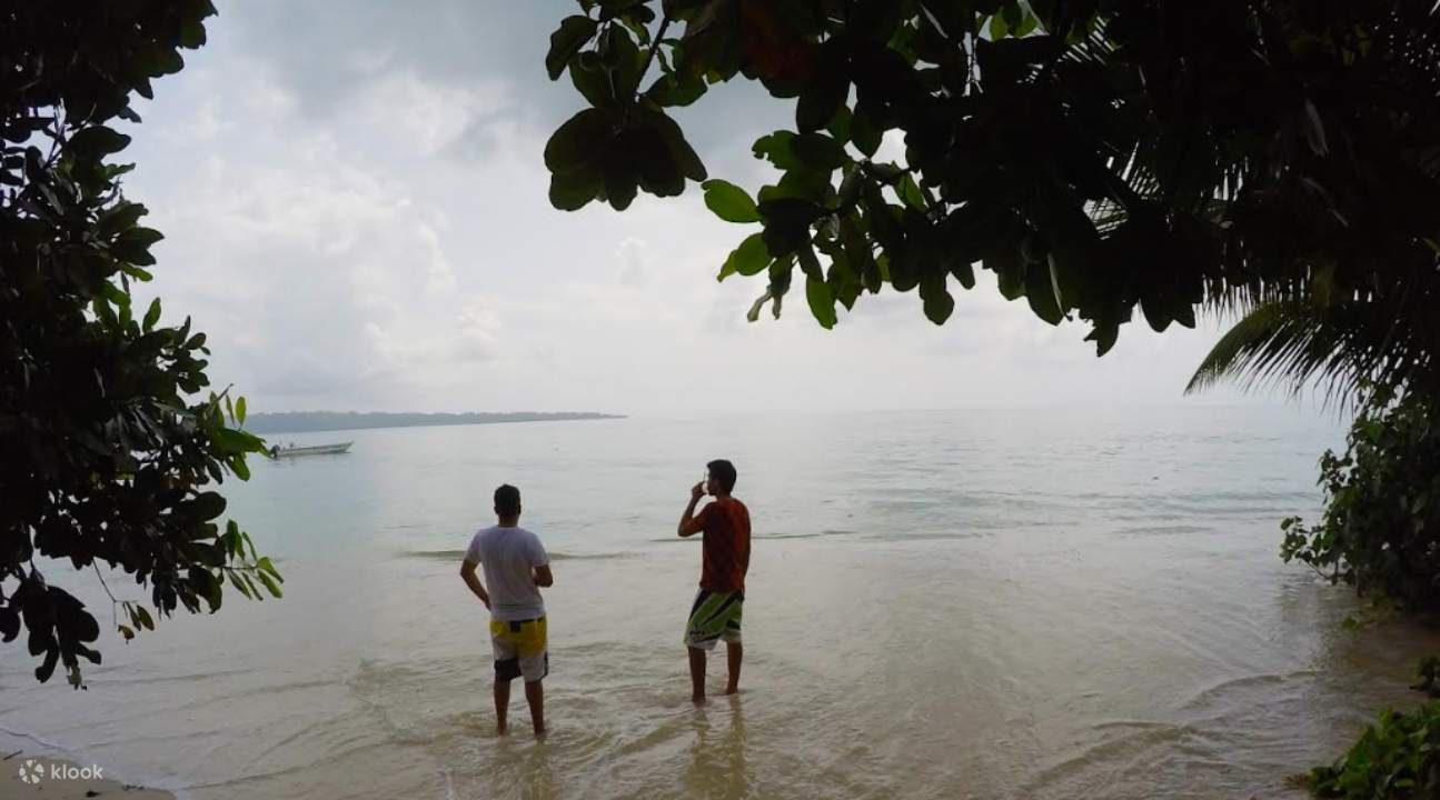 two people standing on the beach looking at the horizon; the view is a bit shrouded by leaves