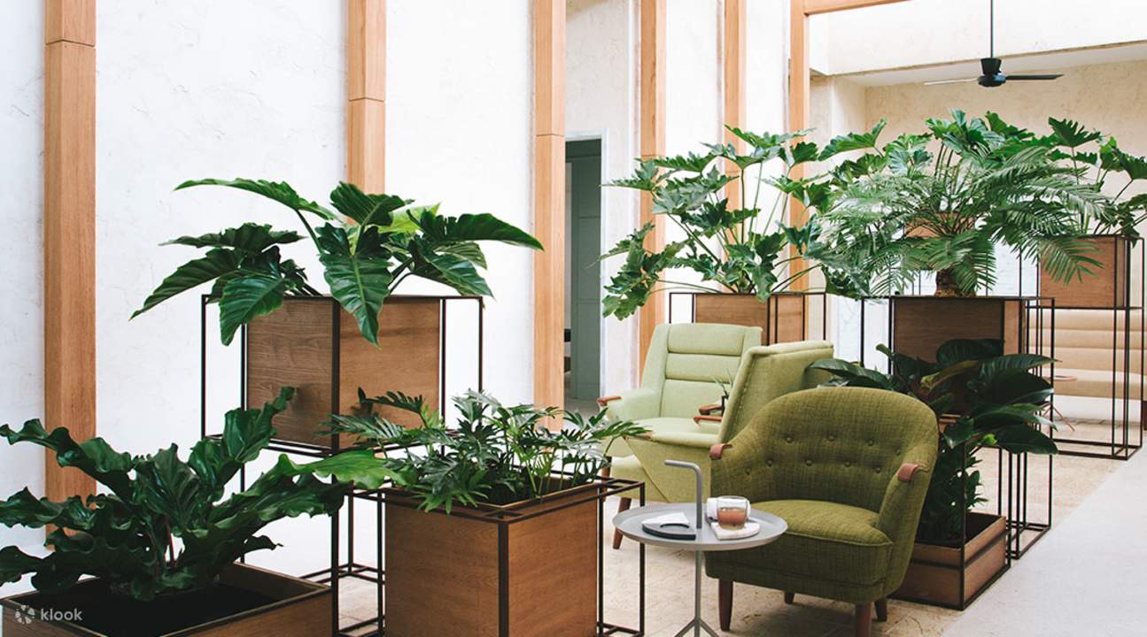 calm spa bangkok lobby