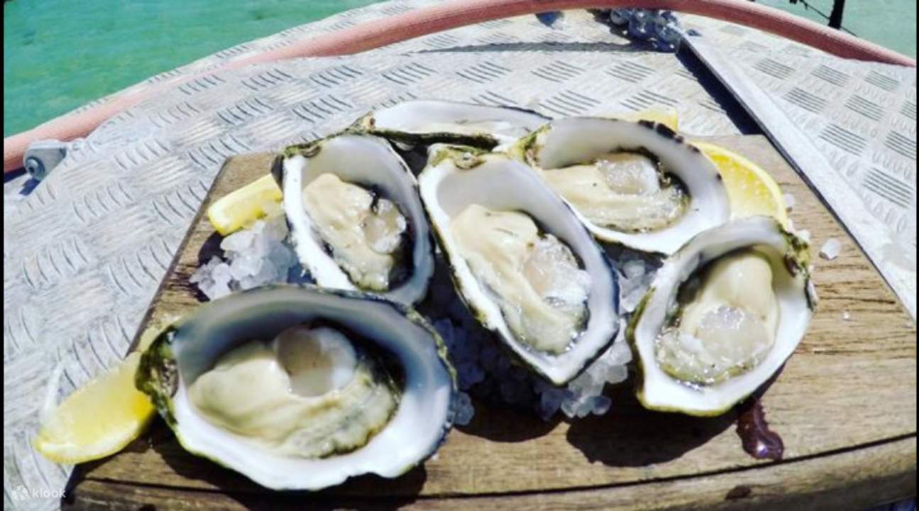 Coffin Bay Oysters, Ocean and Nature Day Tour from Port Lincoln Klook