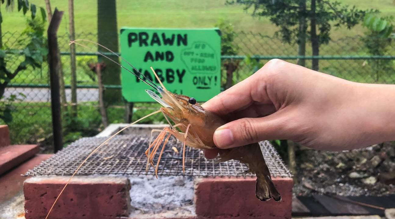 Prawn Fishing at ATC Fishing Village in Jurong, Singapore Klook