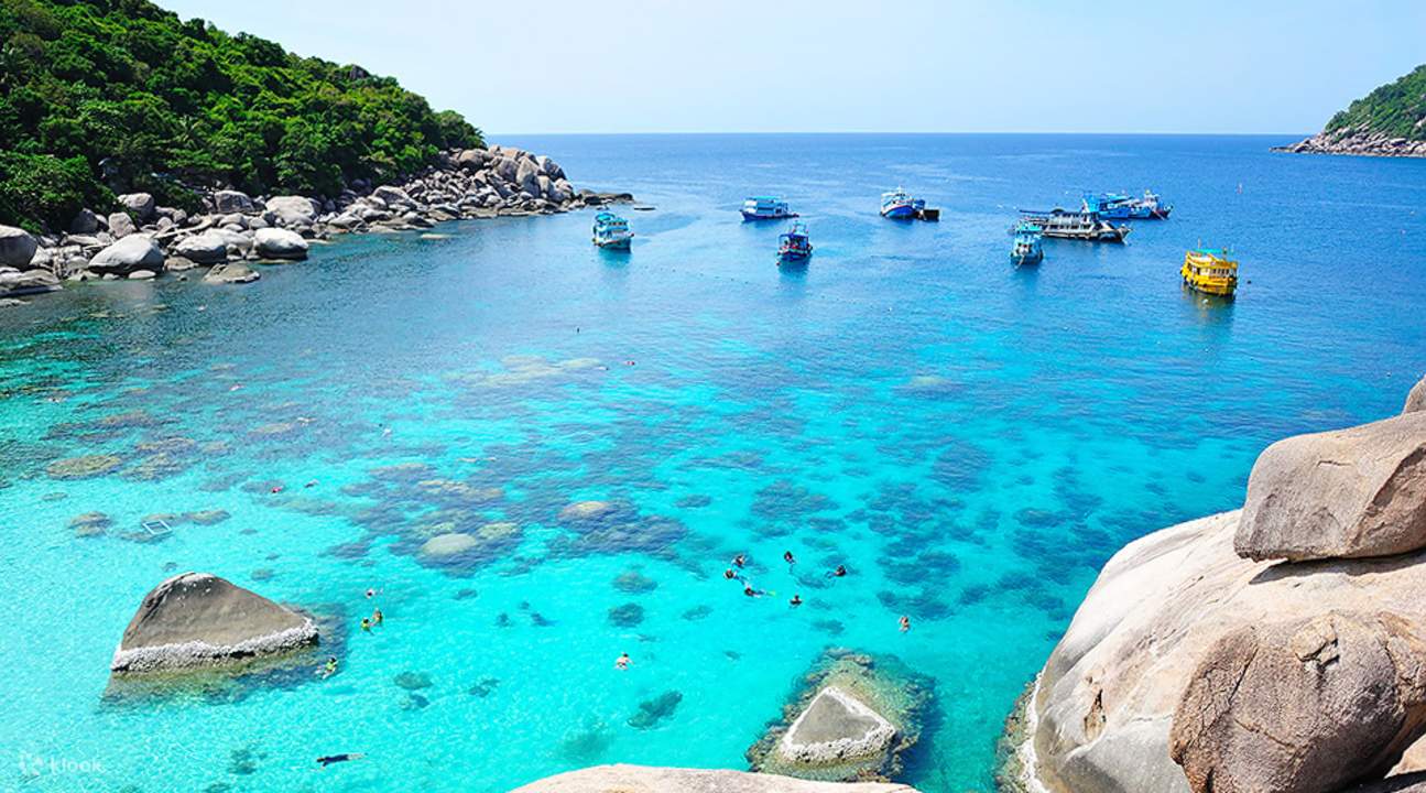 Spend a day exploring the paradise islands of Koh Tao and Koh Nangyuan