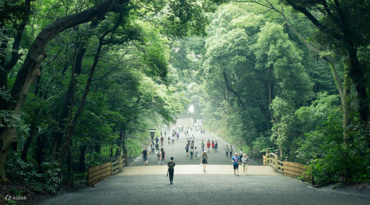 forestd area of Meiji Jingu Shrine 