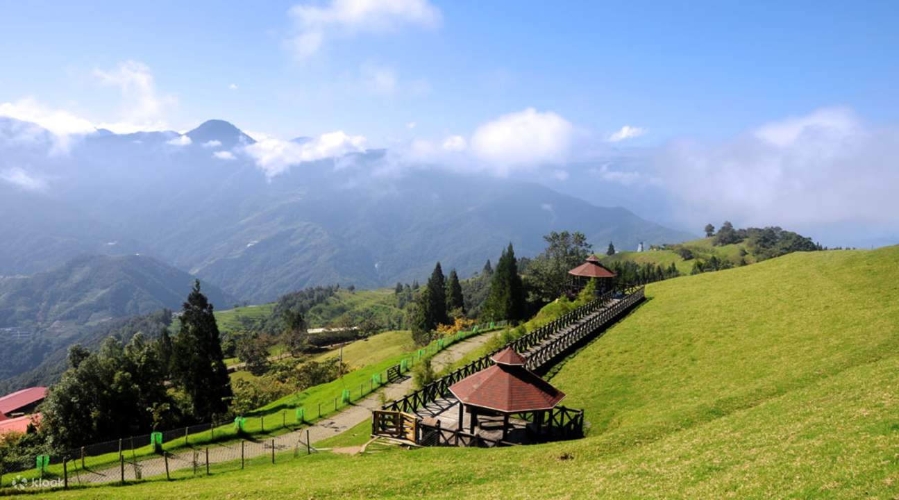 Tour Một Ngày Tham Quan Nông Trại Thanh Cảnh (Qingjing) và Núi Hợp Hoan  (Hehuan) ở Nam Đầu (Nantou) - Klook Việt Nam
