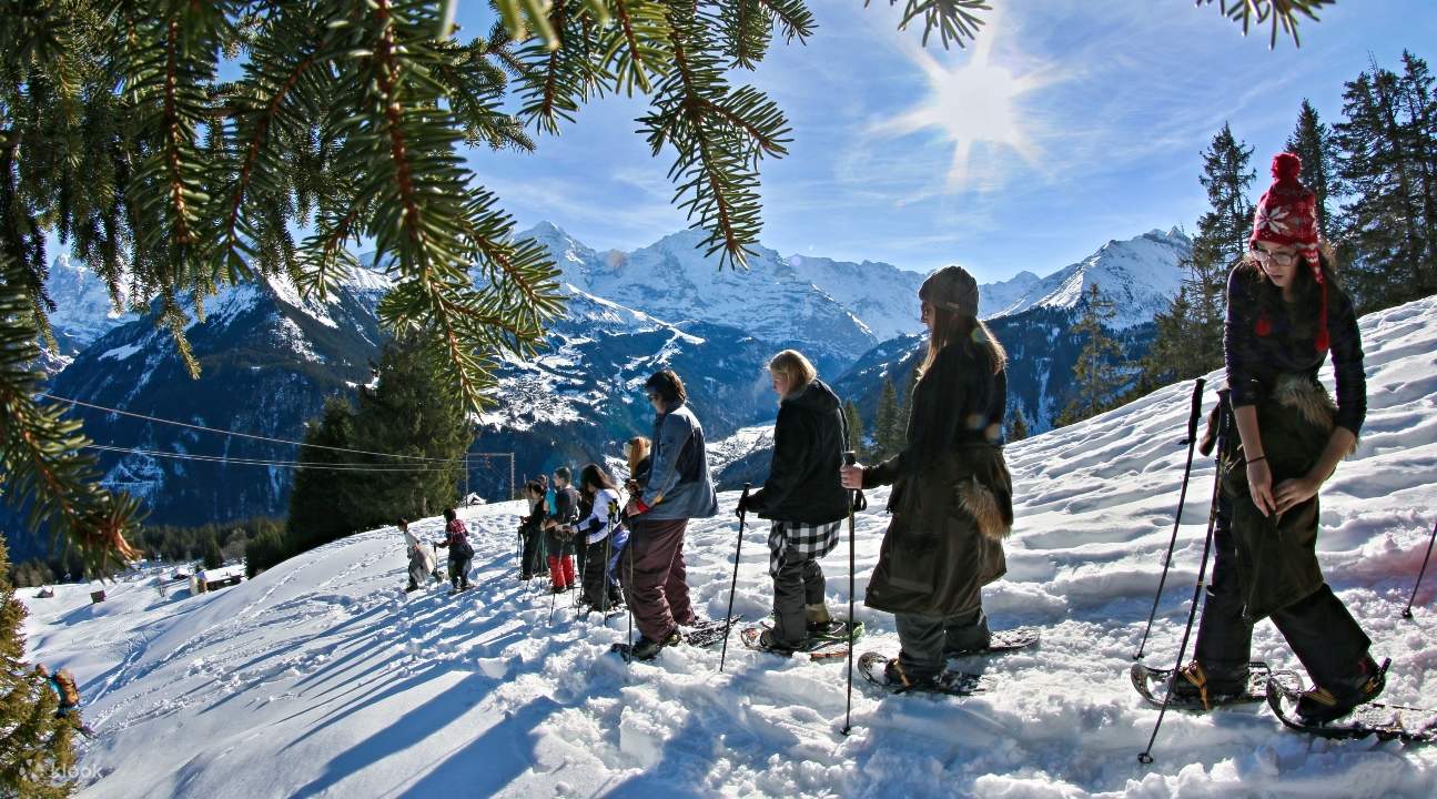 Sulwald Snowshoeing Experience from Interlaken, Switzerland Klook Canada