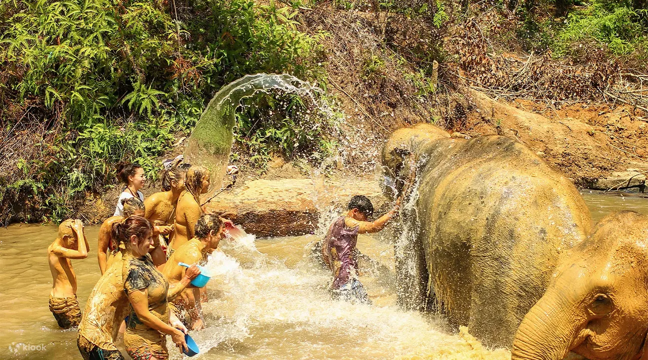 普吉岛大象丛林保护区 (elephant jungle sanctuary phuket) 位置