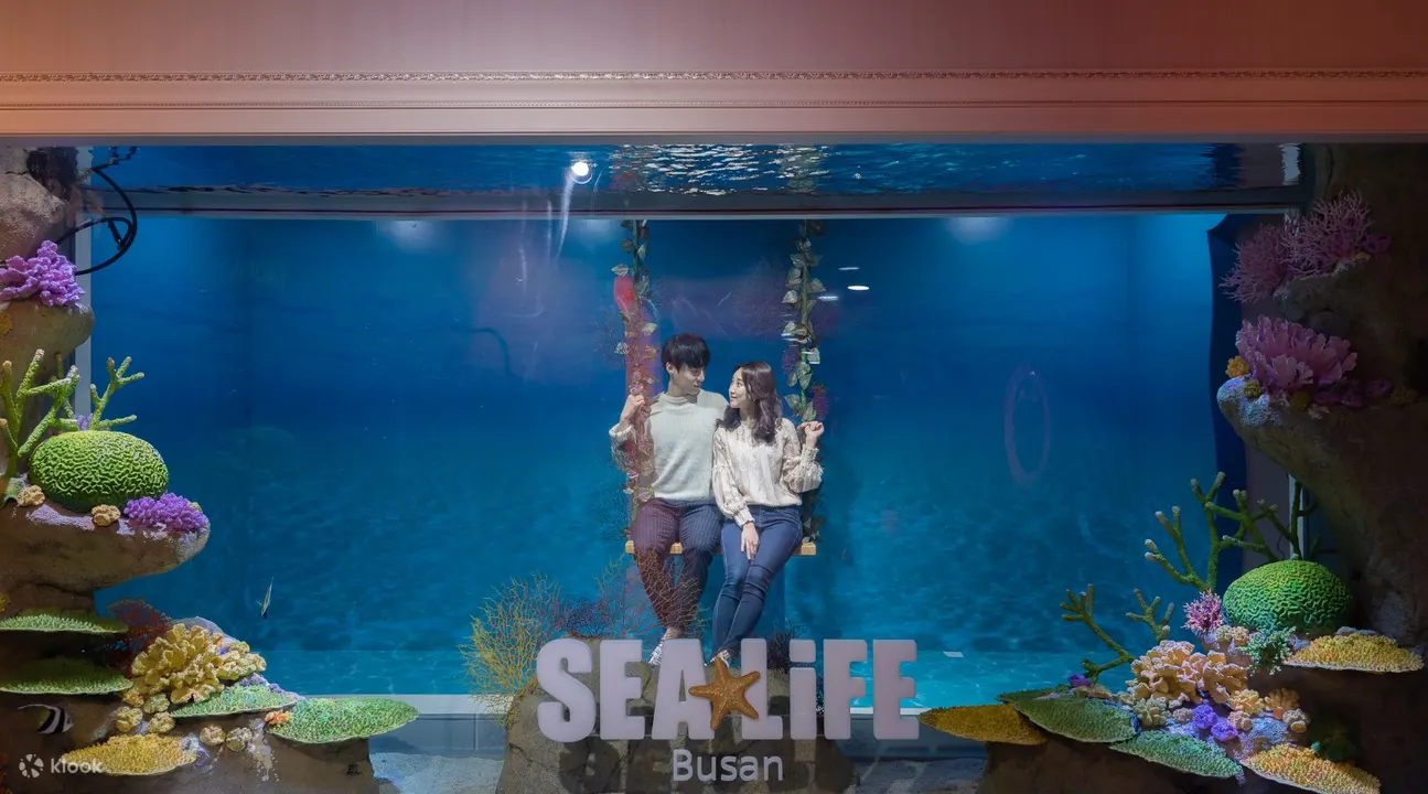 釜山水族馆 (sea life busan)
