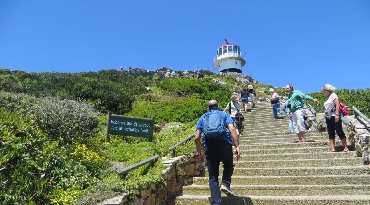 Cape Point and Winelands Day Tour in Cape Town, South Africa Klook