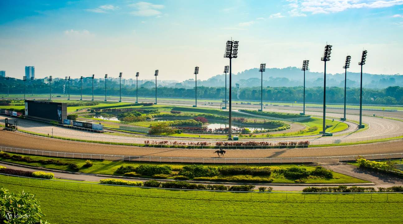 vista a la pista de carreras 