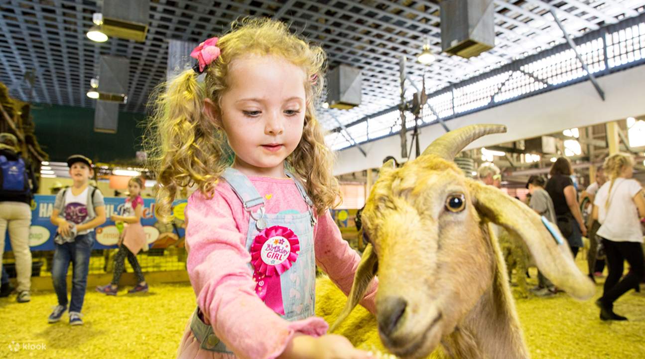 2019 The Royal Queensland Show EKKA Single Entry Ticket, Brisbane