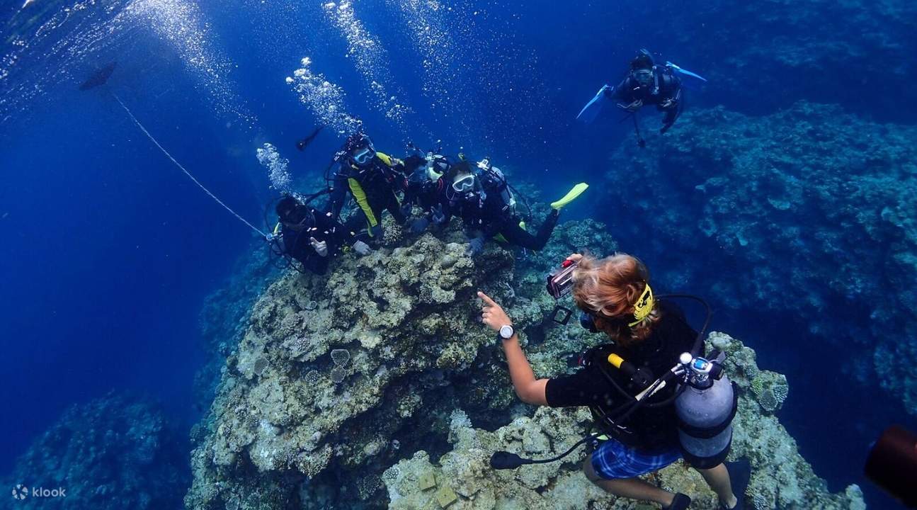 aktiviti snorkeling di sekitar Kepulauan Kerama