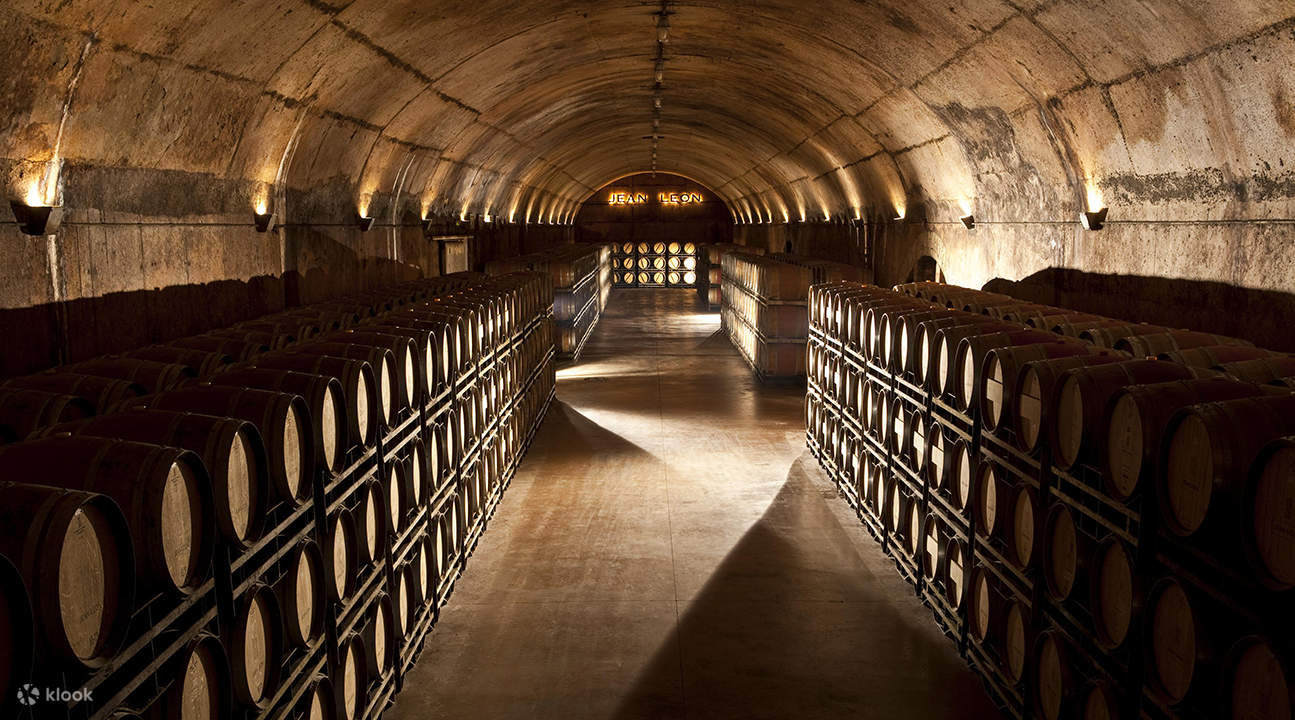 Full Day VIP Wine and Cava Experience Barcelona Klook India