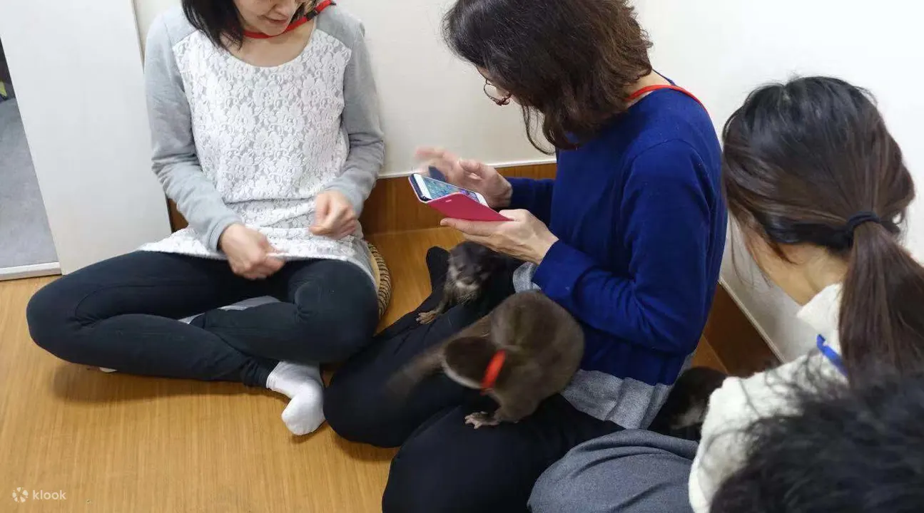 与水獭互动