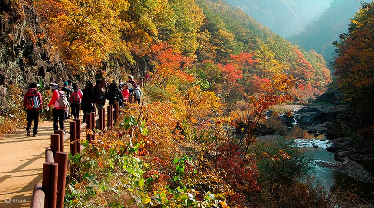 Seoraksan National Park Autumn Season Day Tour from Seoul, South Korea - Klook Philippines