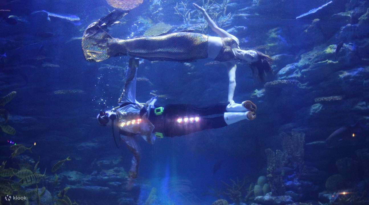 sea life glass tunnel