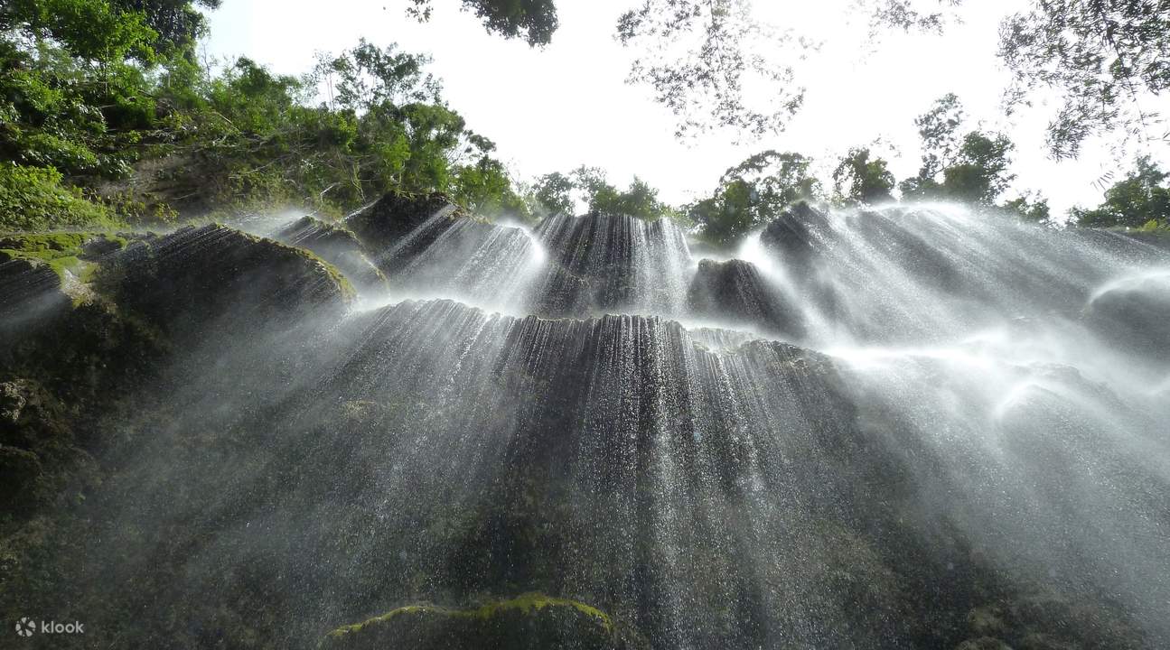 shared van transfers oslob cebu city mactan