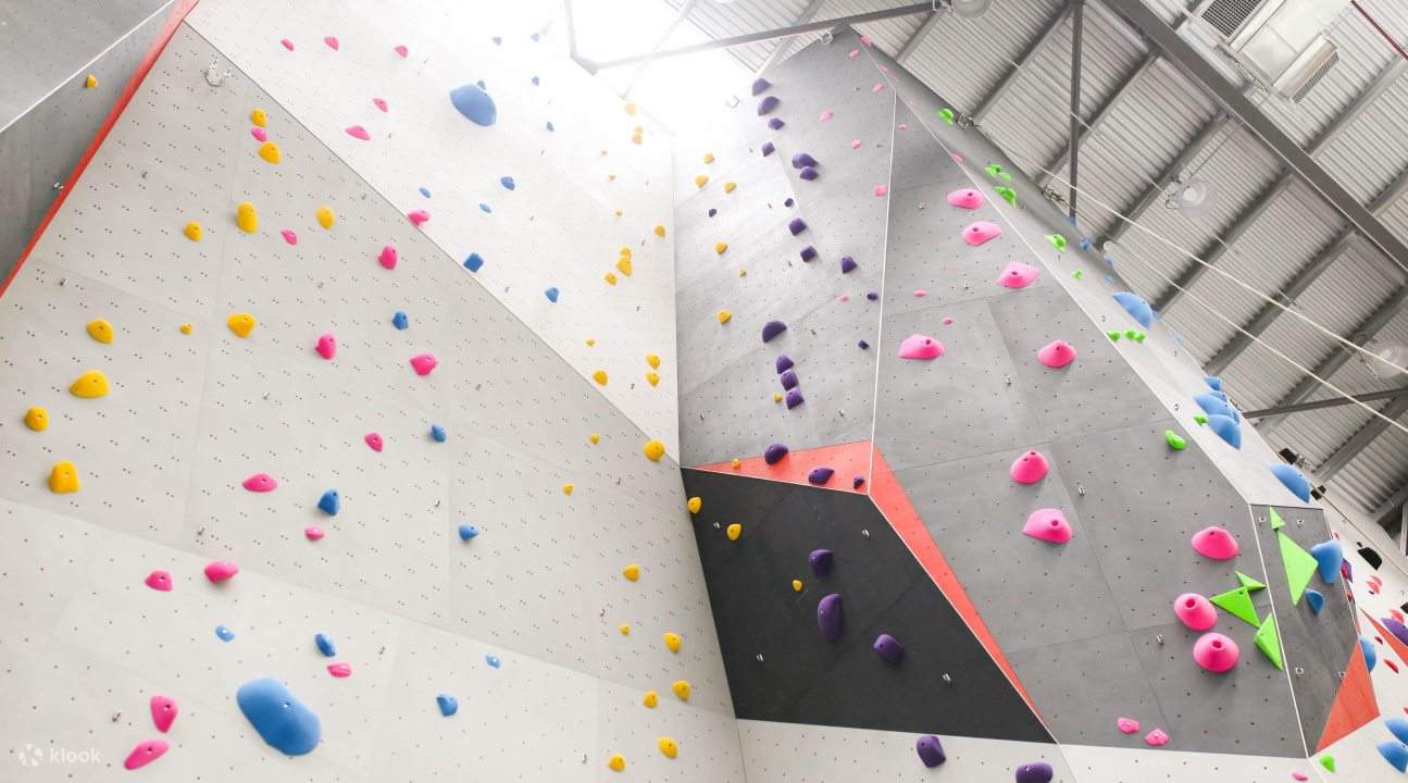 Wall for climbing in Beast Park, Kuala Lumpur