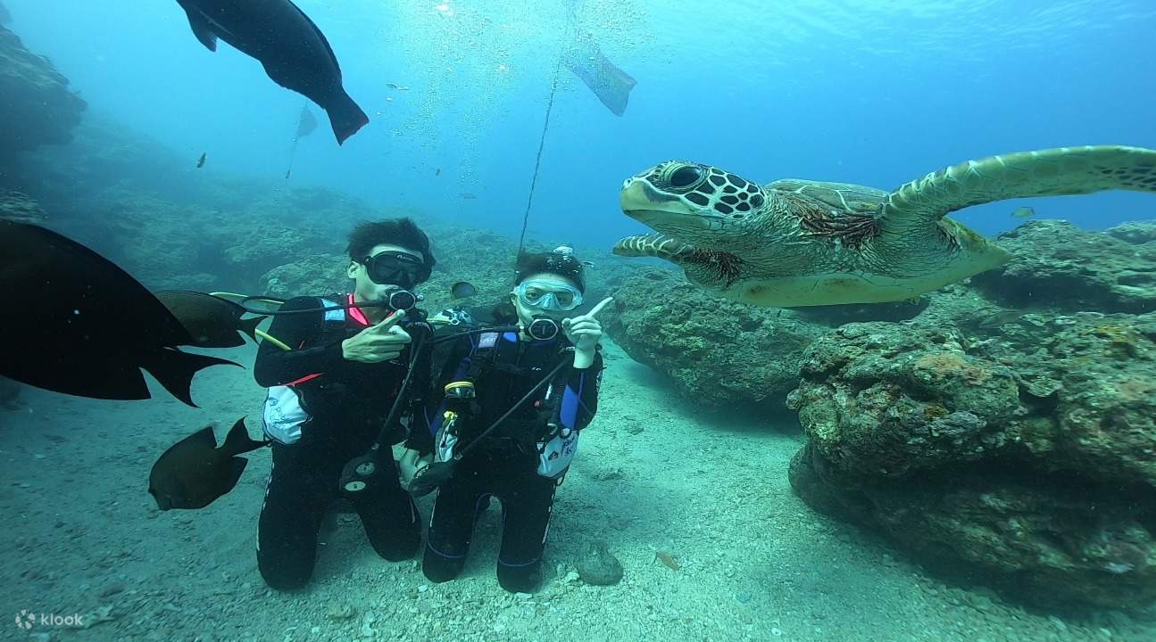 Cours PADI OW (Open Water Diver) de trois jours et deux nuits à Xiaoliuqiu Bear Diving