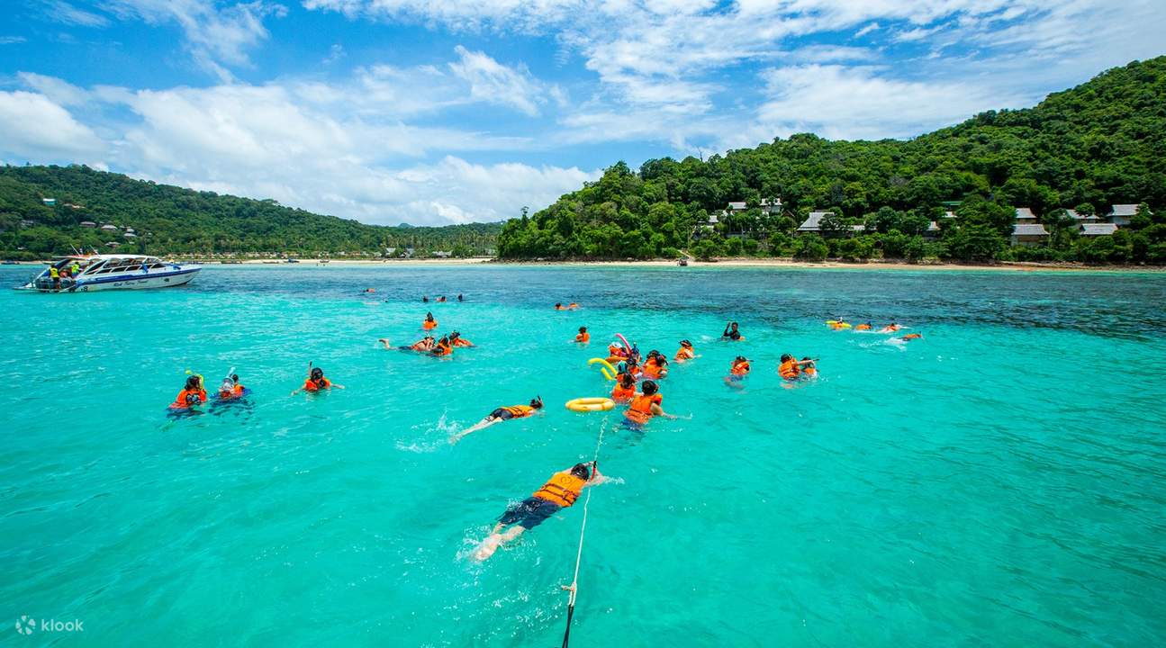 maya bay speedboat tour, phi phi island snorkelling, phi phi island speedboat tour 